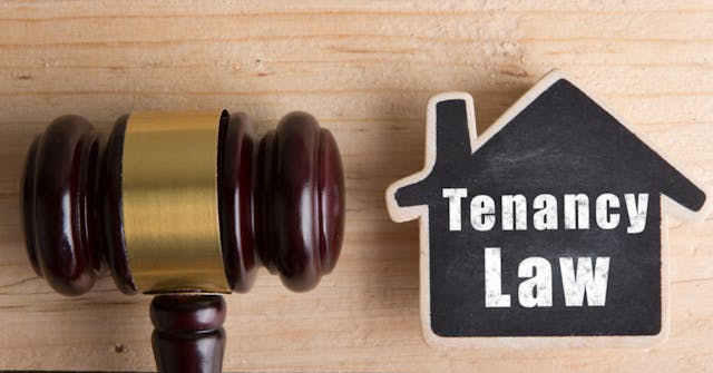 Image of  All you need to know about the Model Tenancy Act. 