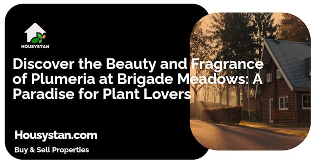 Discover the Beauty and Fragrance of Plumeria at Brigade Meadows: A Paradise for Plant Lovers