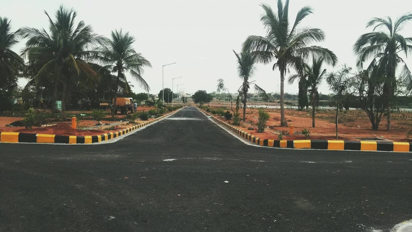 Image of Akshita Golden Breeze