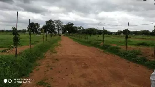 Image of Devaki Garishtha Meadows