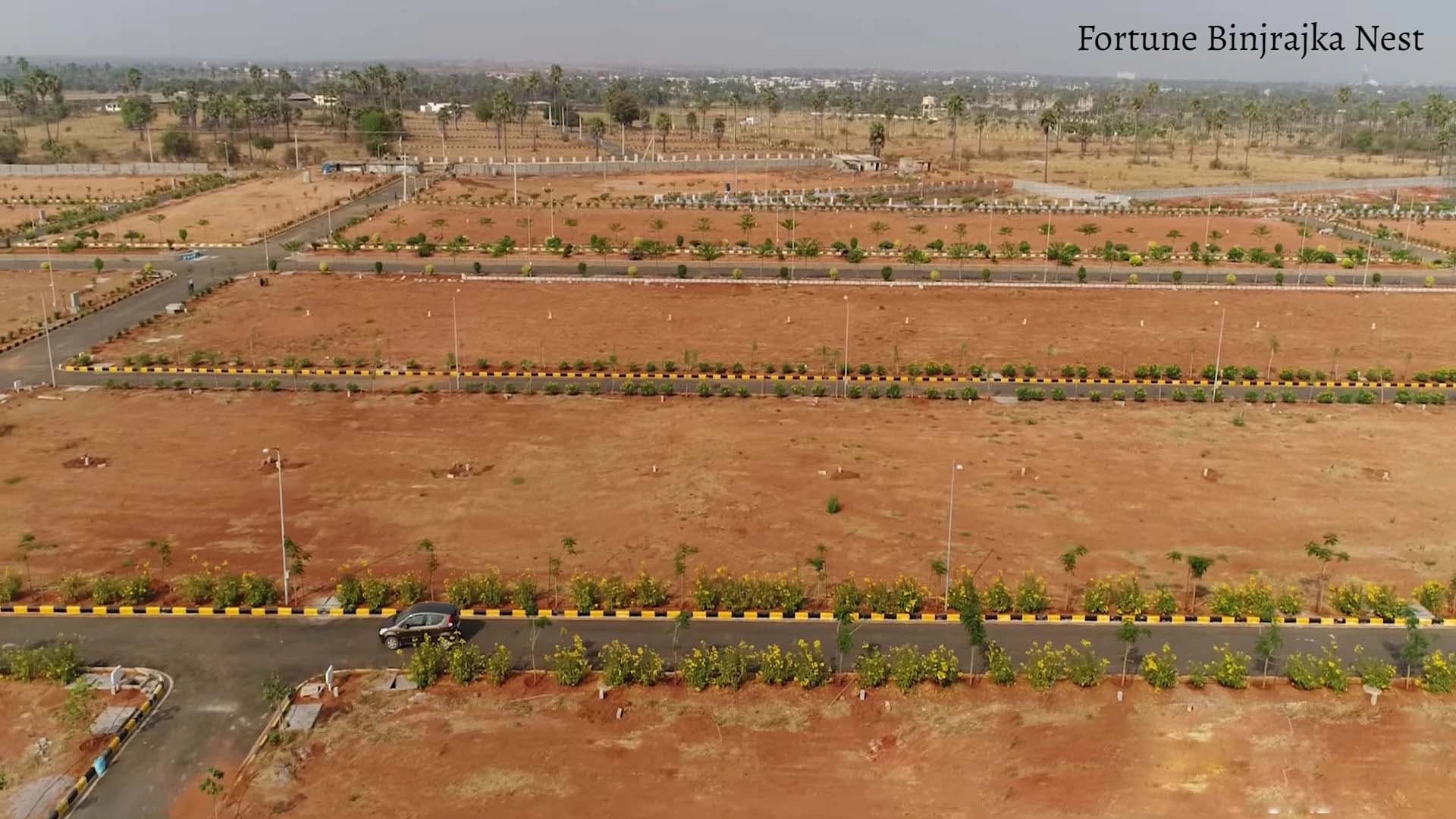 Image of Fortune Binjrajka Nest