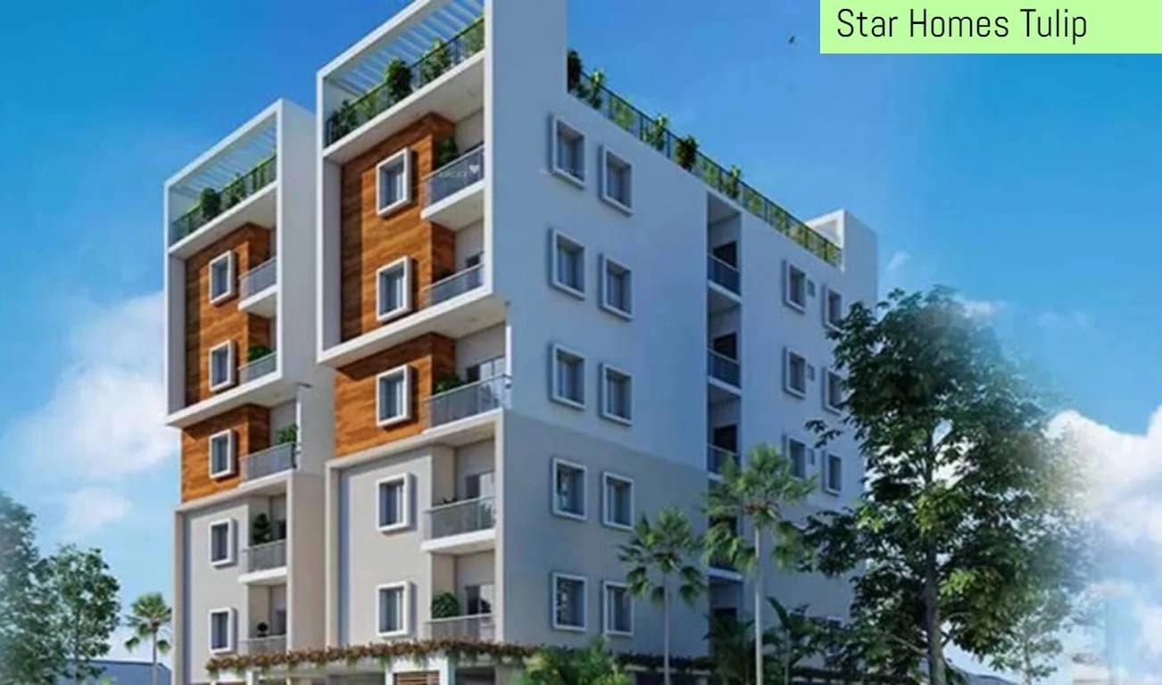 Floor plan for Star Homes Tulip