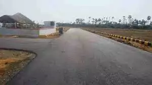 Image of True Landmark 3 Phase 2