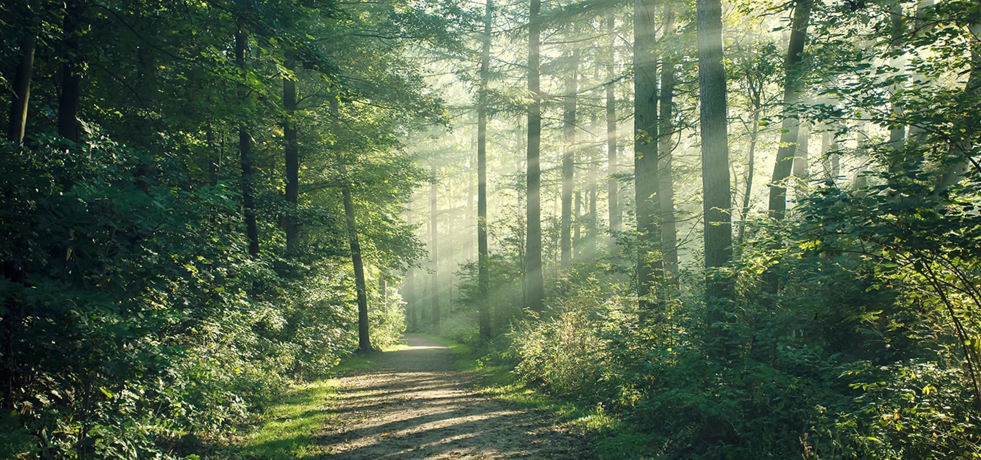 Godrej Woodland Plots - Property in bangalore - Photo 3 | Housystan