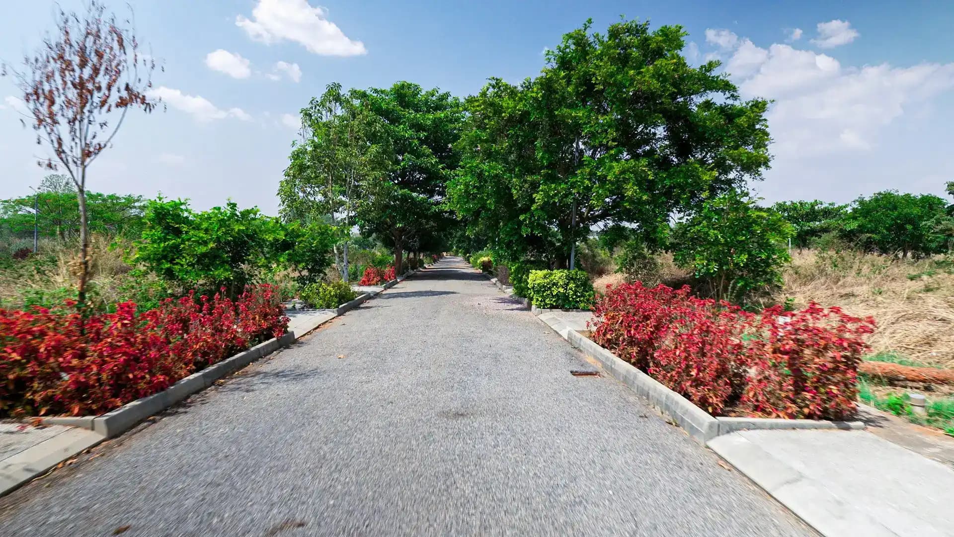 Guru Punvaanii Eka Plots - Property in bangalore - Photo 3 | Housystan