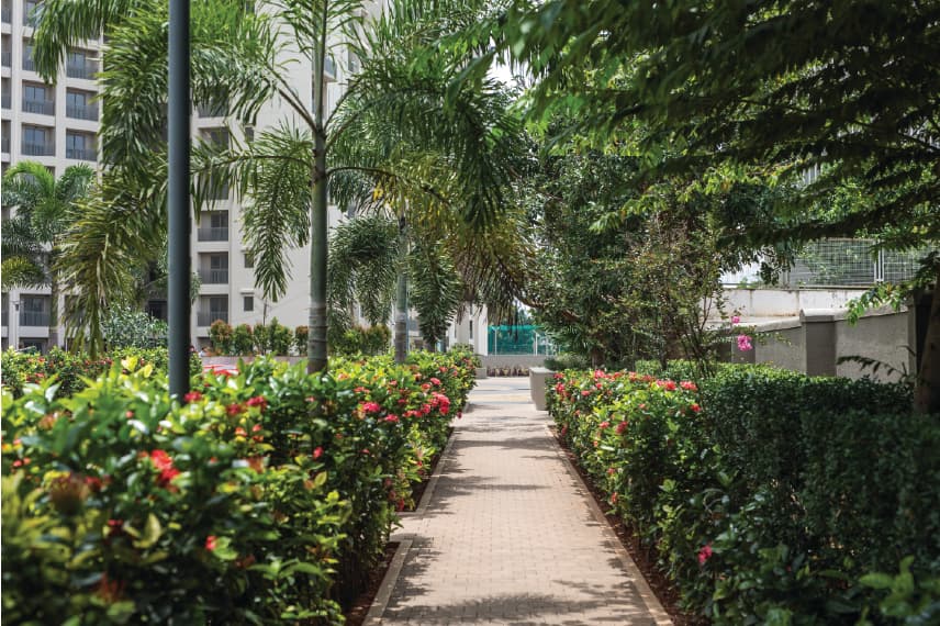 Orchid Whitefield - Property in bangalore - Photo 9 | Housystan