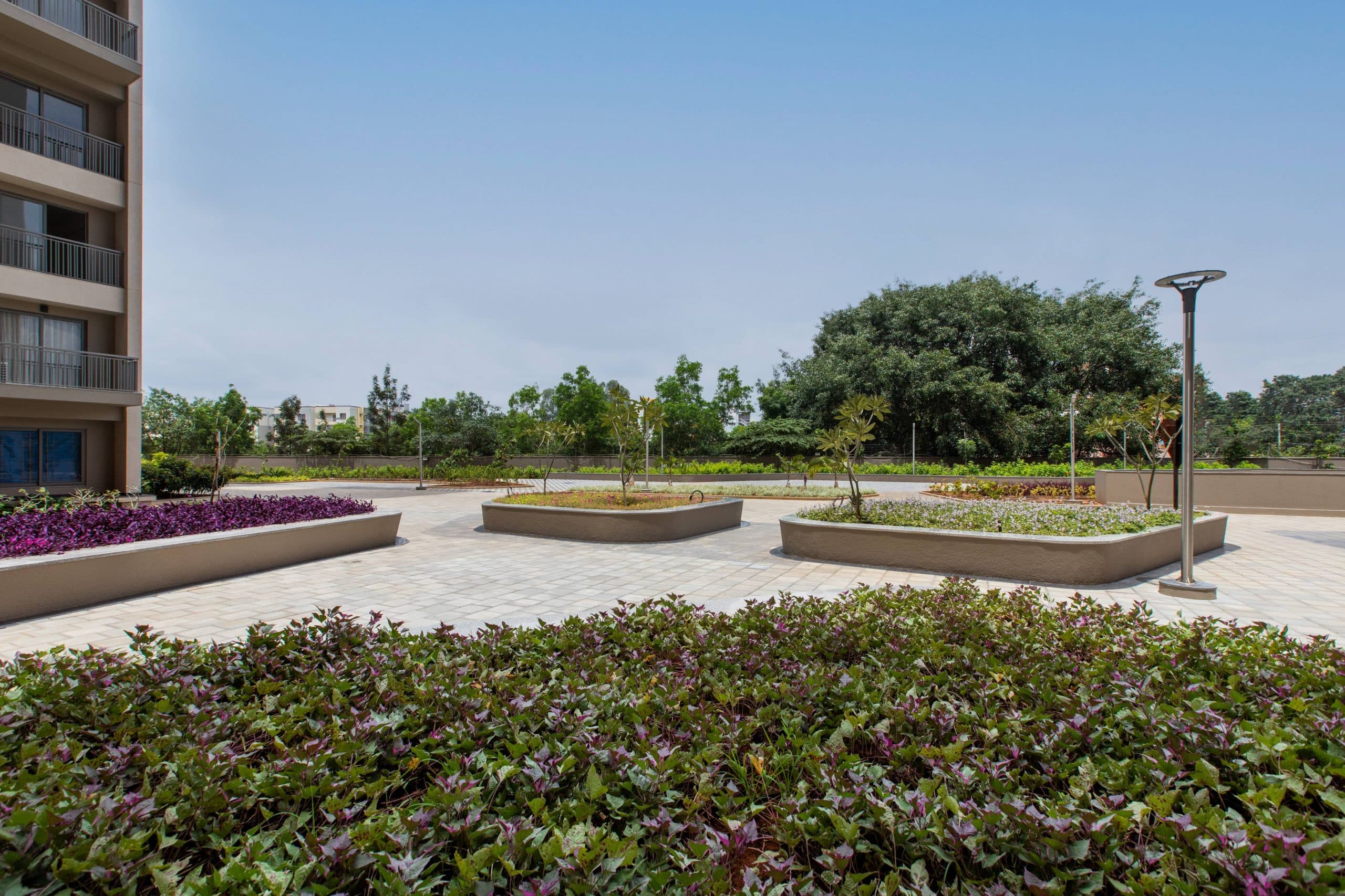 Orchid Whitefield - Property in bangalore - Photo 7 | Housystan