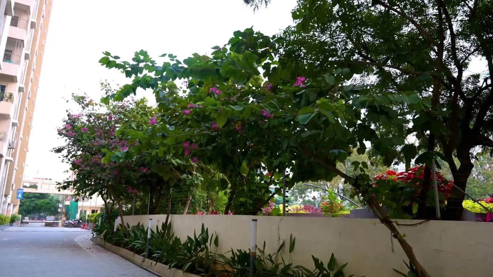 Vazhraa Vihhari - Property in hyderabad - Photo 9 | Housystan