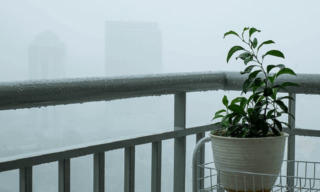 Essential Tips to Prepare Your Home for the Monsoon Season